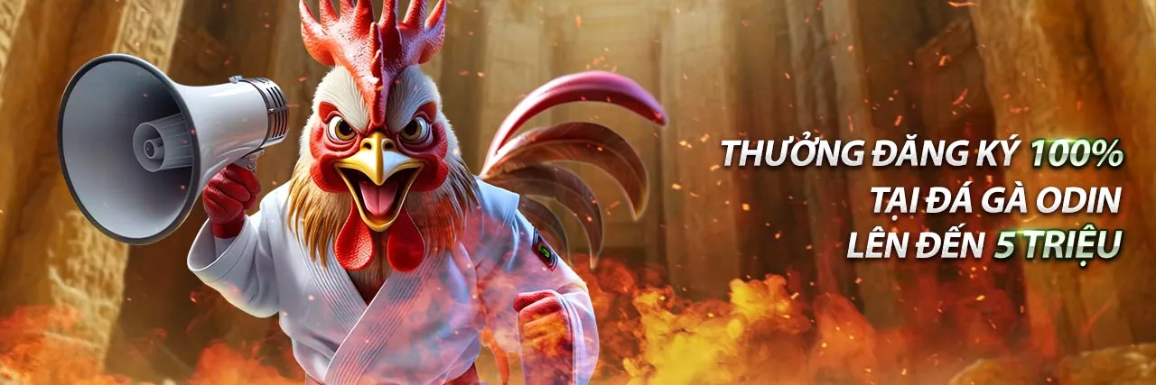 Hình ảnh nền blog ku77 win với các bài viết chuyên sâu về cá cược và giải trí trực tuyến